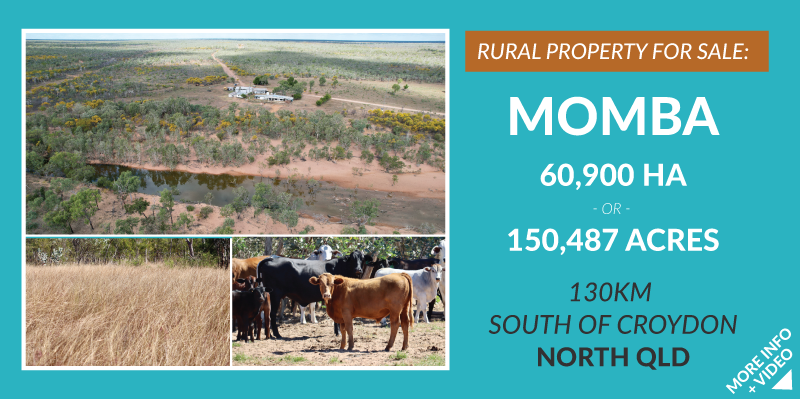 Rural Property For Sale Momba 130km south of Croydon North QLD